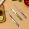 Oblivion Knife for Kitchen Use 3 Pc – Stainless Steel Kitchen Knife Set with Non-Slip Handle & Non-Stick Blades – Multipurpose Utility Knives for Fruits, Vegetables & Meat Cutting & Daily Food Prep