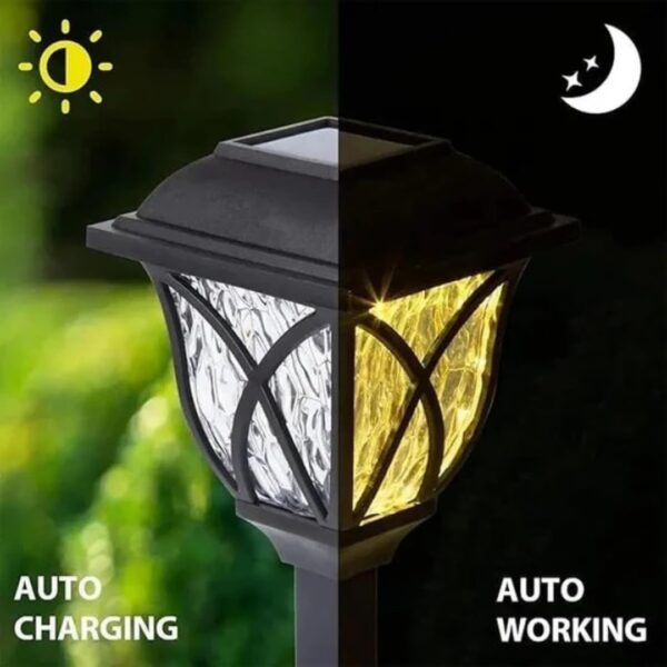 Outdoor Light | Combo Pack of 8 | Solar Powered LED | Soft Ambient Light | Pathway | Outdoor | Garden | Battery Powered | Decoration | Walkways | Driveways | Landscaping.