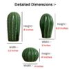 PUREZENTO 'CactusGlow' Ceramic Showpiece - Set of 3 | Stylish Boho Minimalist Cactus Green Matte Finish Figurines | Ceramic Decorative Showpiece for Home Decor, Living Room, Office, Tabletop & Shelf