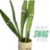 Plant-Swag-Eyes-Plant-Magnets-Plant-Safe-Googly-Eyes-for-Potted-Plants-Magnet-Charms-Plant-Decor-Cute-Plant-Accessories-for-Garden-Decor-Plant-Peepers.jpg Plant Swag Eyes | Plant Magnets | Plant Safe Googly Eyes for Potted Plants | Magnet Charms | Plant Decor | Cute Plant Accessories for Garden Decor | Plant Peepers