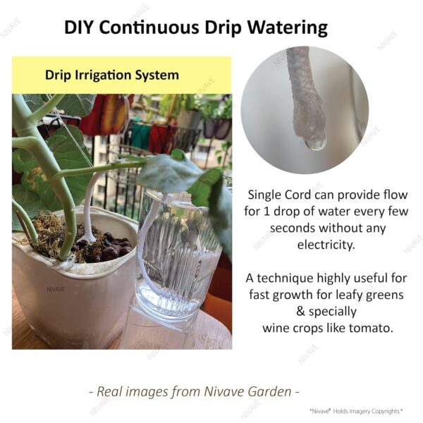 Pro-Plants-Automatic-Drip-Watering-Wick-Cord-Spike-16-inch-White-4-mm-30-feet.jpg Pro - Plants Automatic Drip Watering Wick Cord Spike (1/6 inch, White, 4 mm, 30 feet)