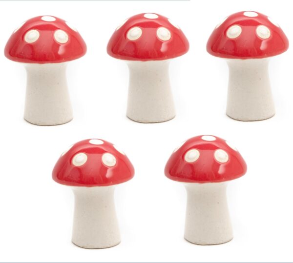 Set of 5 Ceramic Decorative Items | Terrarium Accessories | Set of 5 Ceramic Decorative Items | Terrarium Accessories | Miniature Toys | Mushroom Decor | Office Desk Items | Garden Decor Items | Flower Pot Figurines for Zen Garden(Size: 2 inches)