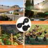 Shade-Cloth-Clips-Heavy-Duty-Lock-Grip-for-Sun-Shade-Net-Reusable-Plastic-Round-Clamps-for-Garden-Greenhouse-Bird-Net-Anti-UV-Netting-Windproof-Awning-Fastener-50-Pieces.jpg Shade Cloth Clips Heavy Duty Lock Grip for Sun Shade Net | Reusable Plastic Round Clamps for Garden, Greenhouse, Bird Net, Anti-UV Netting | Windproof Awning Fastener ((50 Pieces))