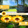 Shopera-Solar-Light-Outdoor-Garden-Waterproof-30-Led-3-Sunflowers-in-One-Plant-Decoration-Lamp-for-Outdoor-Landscape-Pathway-Balcony-Home-Decor-Automatic-OnOff-ABS-Pack-of-1.jpg Shopera Solar Light Outdoor Garden Waterproof 30 Led 3 Sunflowers in One Plant Decoration Lamp for Outdoor, Landscape, Pathway, Balcony & Home Decor Automatic On/Off, (ABS, Pack of 1)