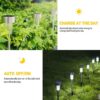 Solar Garden Lights Outdoor, Color Changing LED Path Lights, 1,2,5,10 Pack Stainless Steel Stake Lights, Multi-Color Decorative Landscape Lighting (Solar Light Yellow, 5)
