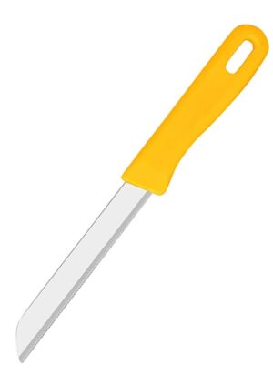 Stainless Steel Kitchen Knife Set of 10 Pcs with Multicolor Handles, Sharp Edge Knives for Vegetables, & Fruits Cutting, Multipurpose Kitchen Knife for Home, Kitchen & Hotel Restaurant Use