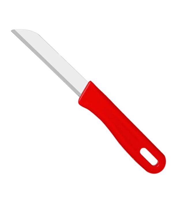 Stainless-Steel-Kitchen-Knife-Set-of-10-Pcs-with-Multicolor-Handles-Sharp-Edge-Knives-for-Vegetables-Fruits-Cutting-Multipurpose-Kitchen-Knife-for-Home-Kitchen-Hotel-Restaurant-Use.jpg Stainless Steel Kitchen Knife Set of 10 Pcs with Multicolor Handles, Sharp Edge Knives for Vegetables, & Fruits Cutting, Multipurpose Kitchen Knife for Home, Kitchen & Hotel Restaurant Use