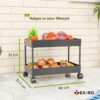 TEX-RO Plastic Storage Rack for Bedroom/Shelf for Bedroom/Bathroom Storage Rack/Trolley for Kitchen Storage/Multipurpose Storage Rack (Black, 2 Layer)