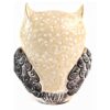 The Spiritual Living Owl Statue for Good Luck II Aesthetic Resin Owl Art Figure Showpiece II 3.5 Inch II Feng Shui & Vastu II Evil Eye II Showpiece for Home Decor II II (6 INCH, 1)