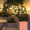 This-Diwali-Outside-Solar-Light-8-LED-Firefly-Light-Solar-Lights-for-Garden-Balcony-Decoration-Path-Lights-for-Pots-Starburst-Swaying-Solar-Light-Firefly-Outdoor-Waterproof-Lighting-12.jpg This Diwali Outside Solar Light 8 LED Firefly Light | Solar Lights for Garden & Balcony Decoration | Path Lights for Pots | Starburst Swaying Solar Light |Firefly Outdoor Waterproof Lighting (12)