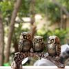 Top Trends® Handcrafted Owl Family Sitting on Tree Decorative Bird Top Trends® Handcrafted Owl Family Sitting on Tree Decorative Bird Showpieces Statue for Home Decor Living Room Bedroom Wall Shelf Table Top Garden Decoration Items