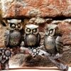 Top-Trends®-Handcrafted-Owl-Family-Sitting-on-Tree-Decorative-Bird-Showpieces-Statue-for-Home-Decor-Living-Room-Bedroom-Wall-Shelf-Table-Top-Garden-Decoration-Items.jpg Top Trends® Handcrafted Owl Family Sitting on Tree Decorative Bird Showpieces Statue for Home Decor Living Room Bedroom Wall Shelf Table Top Garden Decoration Items