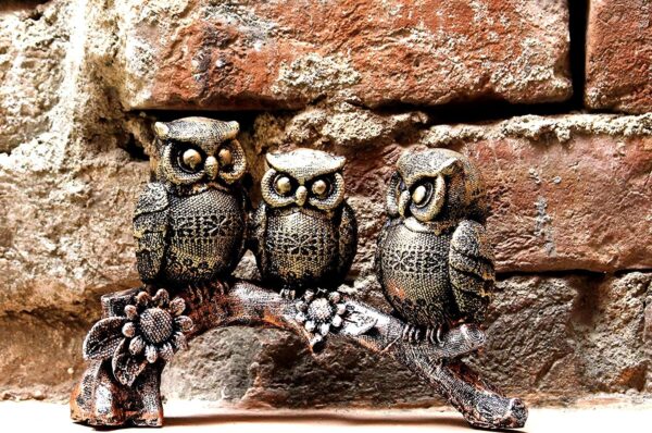 Top-Trends®-Handcrafted-Owl-Family-Sitting-on-Tree-Decorative-Bird-Showpieces-Statue-for-Home-Decor-Living-Room-Bedroom-Wall-Shelf-Table-Top-Garden-Decoration-Items.jpg Top Trends® Handcrafted Owl Family Sitting on Tree Decorative Bird Showpieces Statue for Home Decor Living Room Bedroom Wall Shelf Table Top Garden Decoration Items
