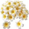VRB Dec™ Artificial gBig Foam Hawaaii Fake Foam Water Floating Flowers for Pooja Thali, Festival and Events, Home, Table, Badroom, Pooja Room, Diwali Decoration (12, White)