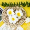 VRB Dec™ Artificial gBig Foam Hawaaii Fake Foam Water Floating Flowers for Pooja Thali, Festival and Events, Home, Table, Badroom, Pooja Room, Diwali Decoration (12, White)