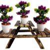 Wooden Plant Stand for Home Indoor & Outdoor Balcony Garden & Living Room Decor (3 Foldable Adjustable Height Racks/Decks)
