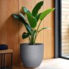 YUCCABE ITALIA FOXB PCUP 17 Inch Pots for Plants Highly Durable Polymers Lightweight Indoor Outdoor Flower Gamla Tree Planter Container Planters for Living Room, Balcony, Garden, Office, Gray