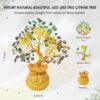 ZAICUS Money Magnet Crystal Tree – Home & Office Decor Feng Shui Tree with Golden Pot – Gemstone Bonsai for Wealth & Success - Healing Crystals Gift for Positivity - (7 X 3 Inch)