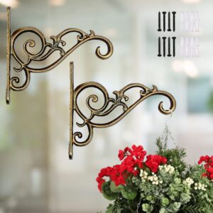 ecofynd 2 Pack Metal Wall Hook Hanging Plant Bracket | ecofynd 2 Pack Metal Wall Hook Hanging Plant Bracket | Decorative Straight Plant Hanger for Pots, Bird Feeders, Planters, Lanterns, Cotton, Wind Chimes Indoor Outdoor, Brass Antique