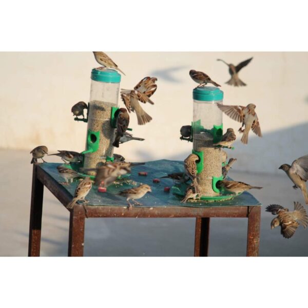 Bird Feeder Hanging Grill, Bird Feeder for Balcony, Outdoor Bird Feeder (Green, Transparent Pack of 2 Pcs)