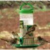 Bird Feeder Hanging Grill, Bird Feeder for Balcony, Outdoor Bird Feeder (Green, Transparent Pack of 2 Pcs)
