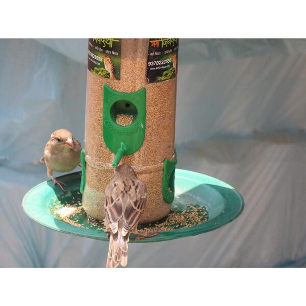 Bird Feeder Hanging Grill, Bird Feeder for Balcony, Outdoor Bird Feeder (Green, Transparent Pack of 2 Pcs)