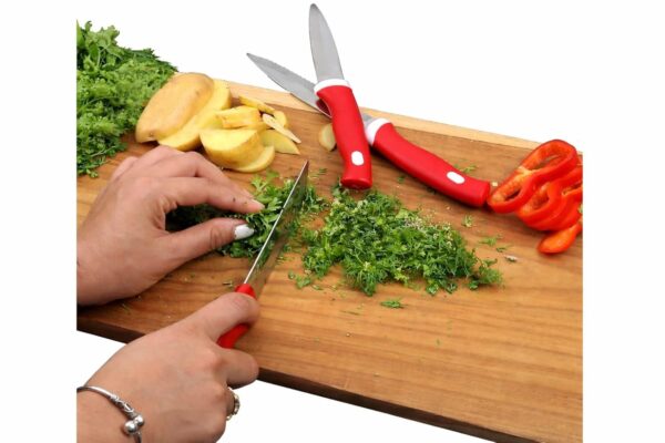 1777662627_Blisz-Womens-1st-Choice-Stainless-Steel-Knife-Set-of_5-Red.jpg Blisz Women's 1st Choice Stainless Steel Knife Set of_5 (Red)