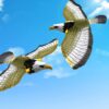 1777680757_Electronic-Flying-Eagle-Toy-Simulation-Bird-Interactive-Cat-Toy-with-Flashing-Lights-and-Music-Automatic-Hanging-Flying-Bird-Animal-Figure-for-Pets-and-Kids.jpg Electronic Flying Eagle Toy Simulation Bird Interactive Cat Toy with Flashing Lights and Music Automatic Hanging Flying Bird Animal Figure for Pets and Kids