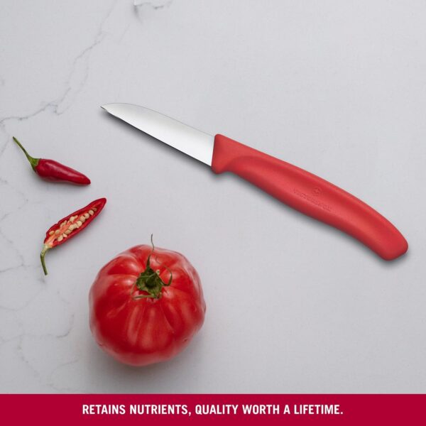 Victorinox Swiss Made Stainless Steel Swiss Classic Paring Knife, 6cm Kitchen Knife for Vegetable Cutting and Chopping, Red | Kitchen Tools & Items | 6.7301.C1