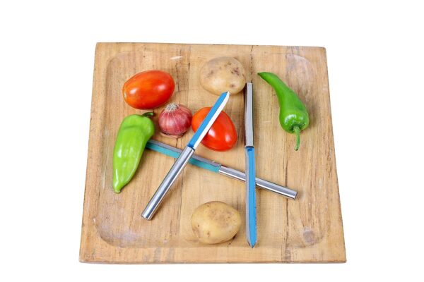 BRUSHFINCH Stainless Steel Knife Set, Set of 3, Kitchen Knife, Stainless Steel Swiss Made Vegetable Cutting and Chopping Knife.