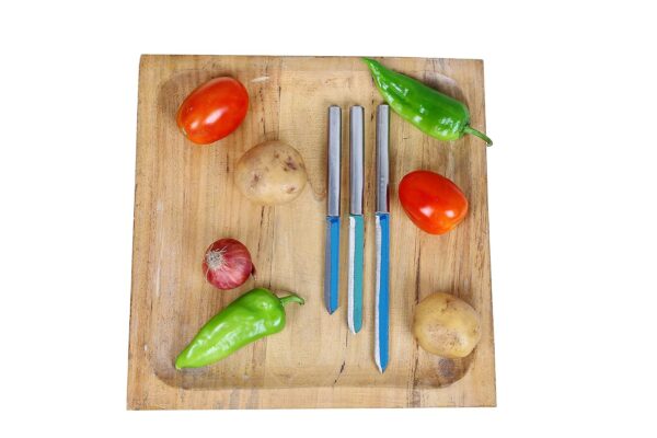 BRUSHFINCH Stainless Steel Knife Set, Set of 3, Kitchen Knife, Stainless Steel Swiss Made Vegetable Cutting and Chopping Knife.