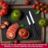 1778504330_Victorinox-Swiss-Made-Stainless-Steel-Swiss-Classic-Paring-Knife-Kitchen-Knife-Set-2-Pcs-Straight-Edge-8-cm-and-Wavy-Edge-11cm-Knives-Black-6.7113.2.jpg Victorinox Swiss Made Stainless Steel Swiss Classic Paring Knife Kitchen Knife Set (2 Pcs) Straight Edge 8 cm and Wavy Edge 11cm Knives Black | 6.7113.2