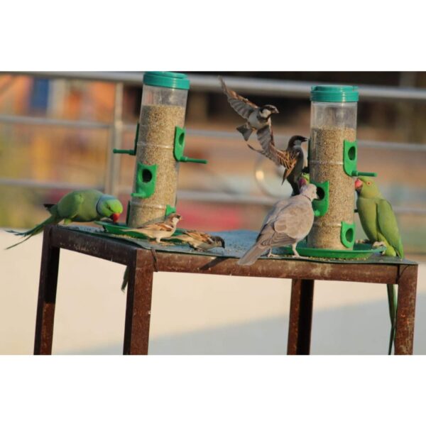 Bird Feeder Hanging Grill, Bird Feeder for Balcony, Outdoor Bird Feeder (Green, Transparent Pack of 2 Pcs)
