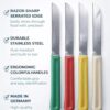 Colorful Kitchen Utility Knife Set, Stainless Steel Serrated Blades, Ergonomic Handles, Made in Germany, 12 Piece