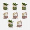 Fab Ellite Cotton Vegetable Storage Bags Fridge bag | Reusable Muslin Refrigerator Produce bag with Drawstrings (10 x 13 inch, Pack of 8) | Washable Cloth Bags for Fruits & Vegetables
