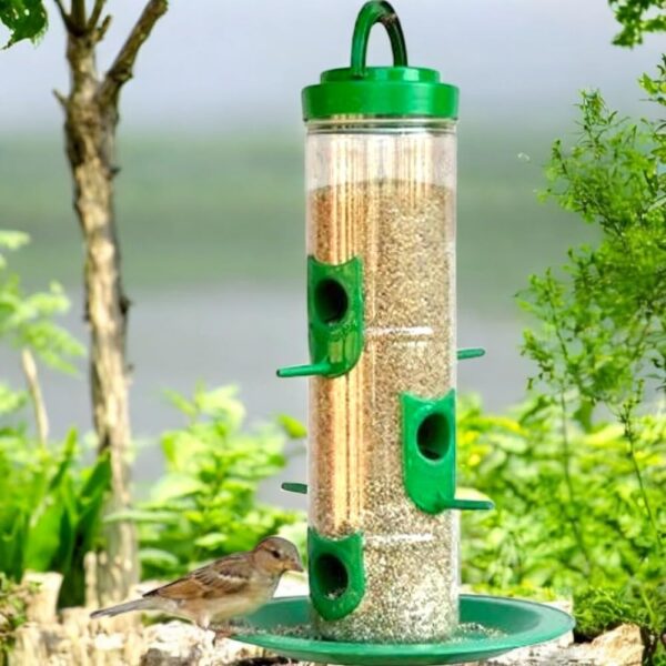 Hanging Bird Feeder for Balcony I Outdoor Bird Food Feeder Hanging Bird Feeder for Balcony I Outdoor Bird Food Feeder I 6 Feed Nozzles | 900gram Bird Food Capacity (Green, Pack of 2 Pcs)