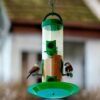Hanging-Food-Feeder-for-Balcony-Large-Bird-Feeder-for-Outdoor-Garden-900-Capacity-I-Premium-Hard-Plastic-Weatherproof-Pack-of-1-Pcs.jpg Hanging Food Feeder for Balcony, Large Bird Feeder for Outdoor & Garden | 900 Capacity I Premium Hard Plastic Weatherproof (Pack of 1 Pcs)