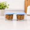 HomeEssentials Premium Borosilicate Glass Jar with Airtight Lid – Small Kitchen Storage Container for Spices, Seeds, and Herbs – Heat-Resistant & Microwave Safe (260ml Pack of 2)