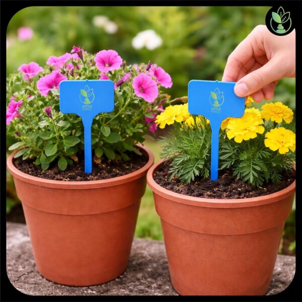 Little Forest - Plant Labels T-Type, 6-inch Garden Markers, 1.5 x 2.2 inch Writing Area, Waterproof Reusable Plastic Stakes, Pack of 20 (Blue)
