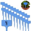 Little Forest - Plant Labels T-Type, 6-inch Garden Markers, 1.5 x 2.2 inch Writing Area, Waterproof Reusable Plastic Stakes, Pack of 20 (Blue)