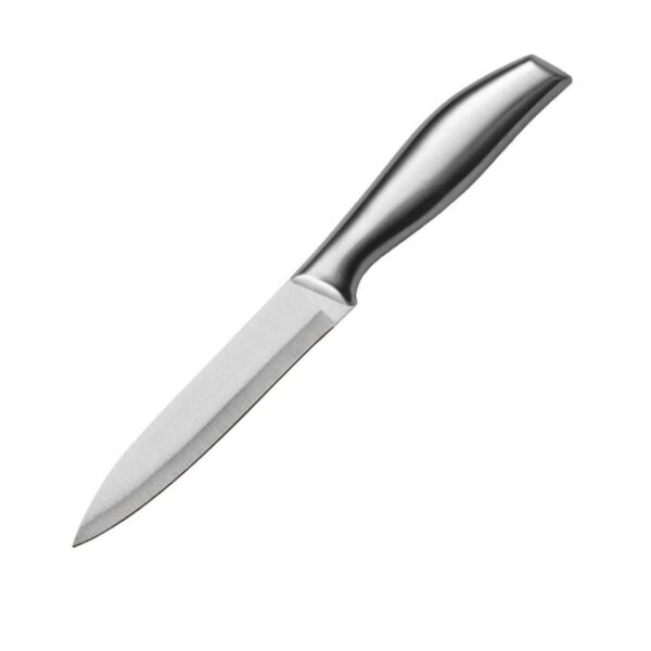 Stainless Steel Utility Knife – Sharp Precision Blade with Comfortable Stainless Steel Utility Knife – Sharp Precision Blade with Comfortable Metal Handle, Small Kitchen Knife for Peeling, Trimming, Fruit, Meat & Vegetable Cutting(Pack of 1)