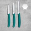 Victorinox Swiss Made Swiss Classic Paring Stainless Steel Kitchen Knife Set (3 Pcs) Straight Edge 10 cm and Wavy Edge 10,11 cm Knives Green | 6.7114.34C1